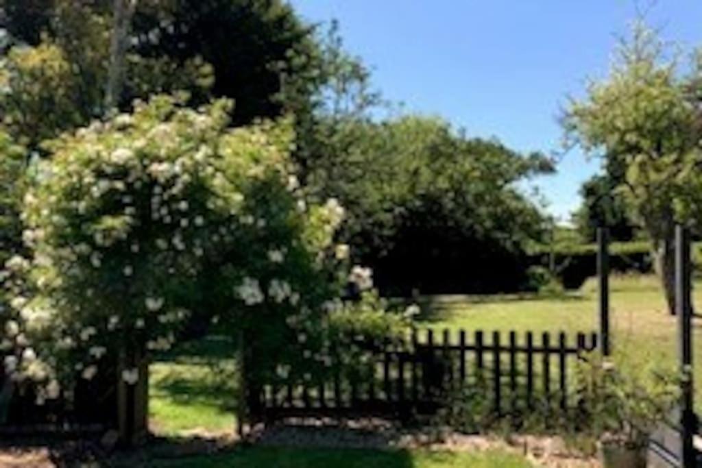 The Snuggery Broadclyst Daire Exeter Dış mekan fotoğraf